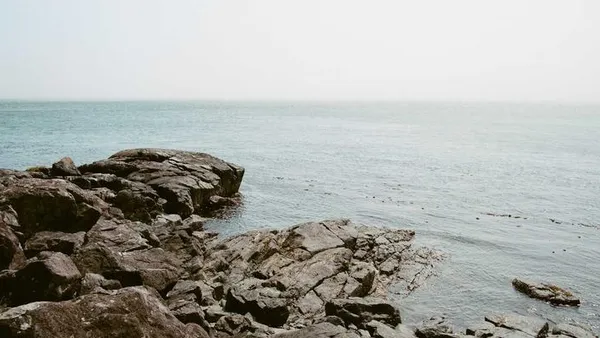 Vite ecosystem February 2026 updates