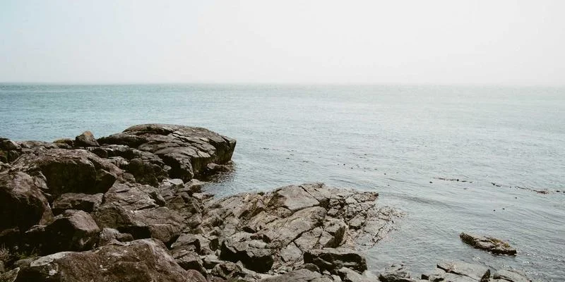 Vite ecosystem February 2026 updates